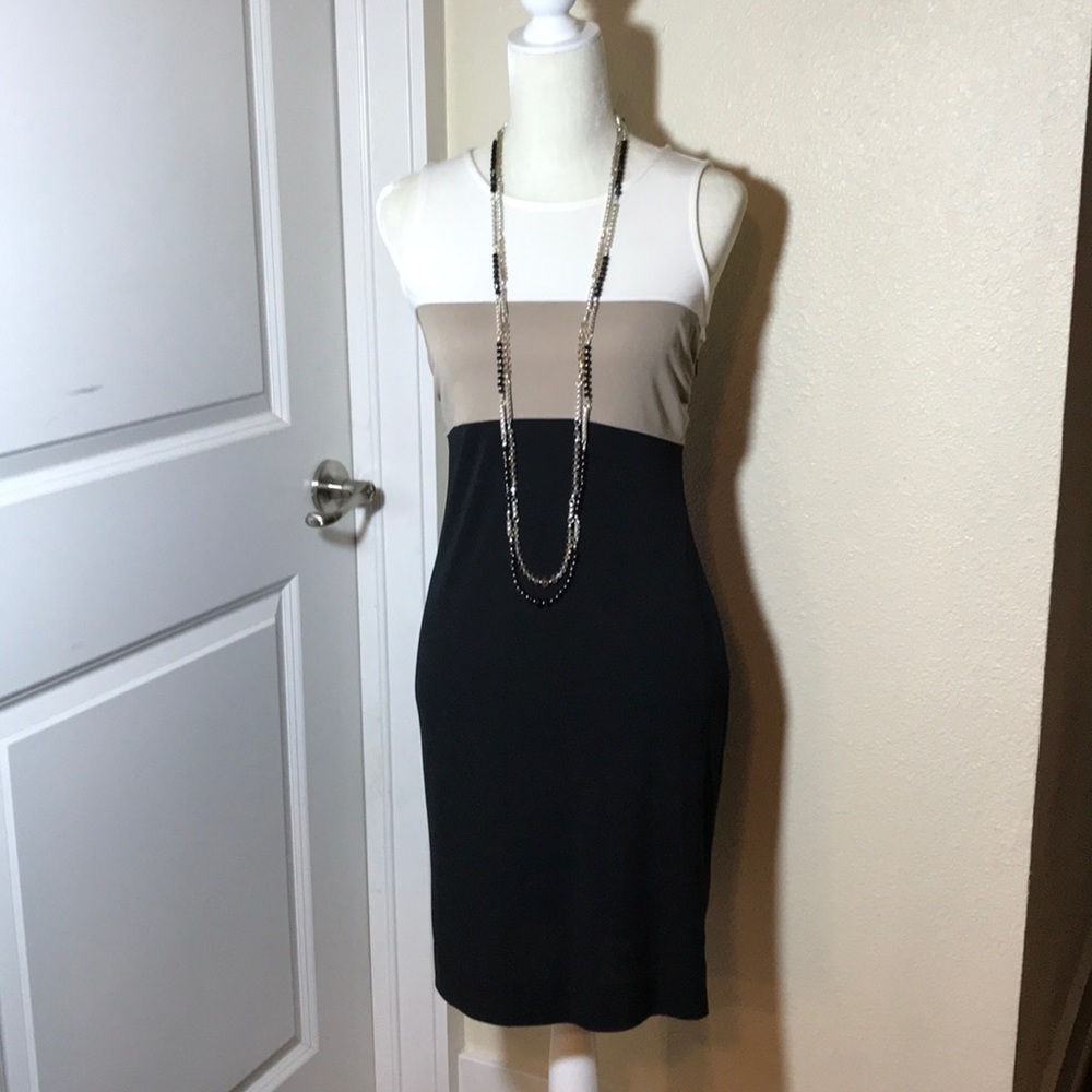 Banana Republic Color Block Dress